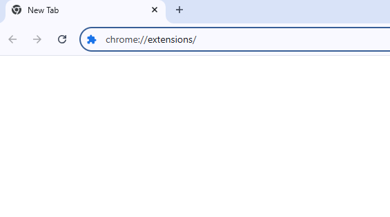 Chrome Extensions Page Screenshot